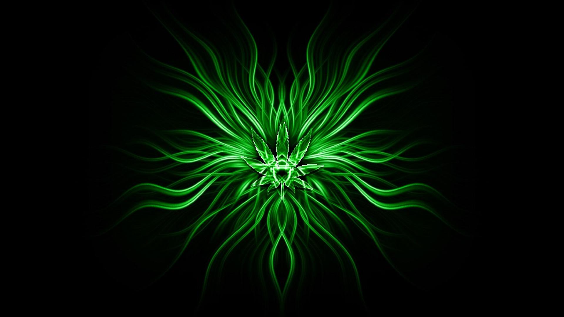 1920x1080-px-abstract-weed-1543099-wallhere.com