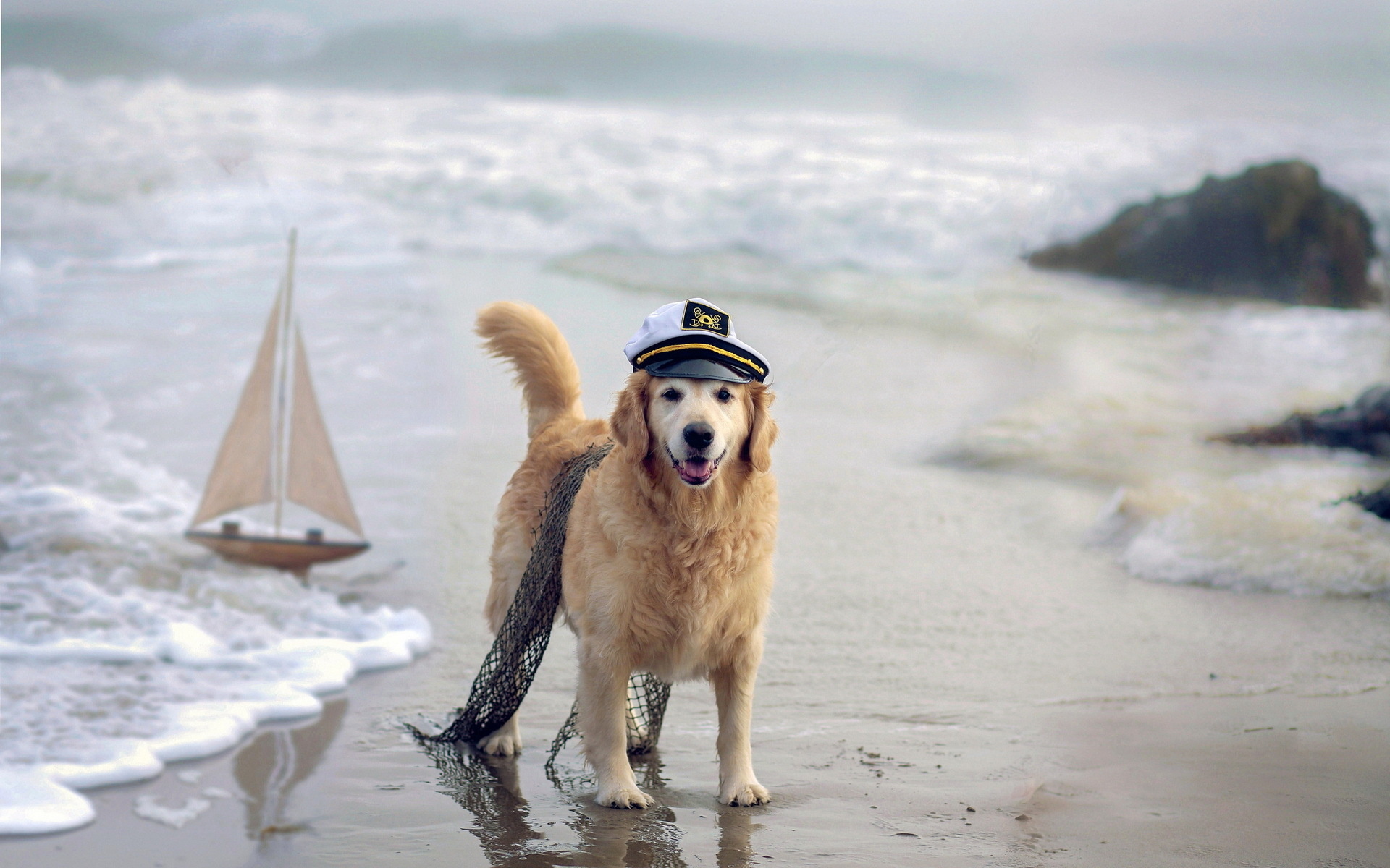 1920x1200-px-beaches-boats-costume-cute-humor-1643759-wallhere.com