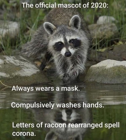 7538073406208078796