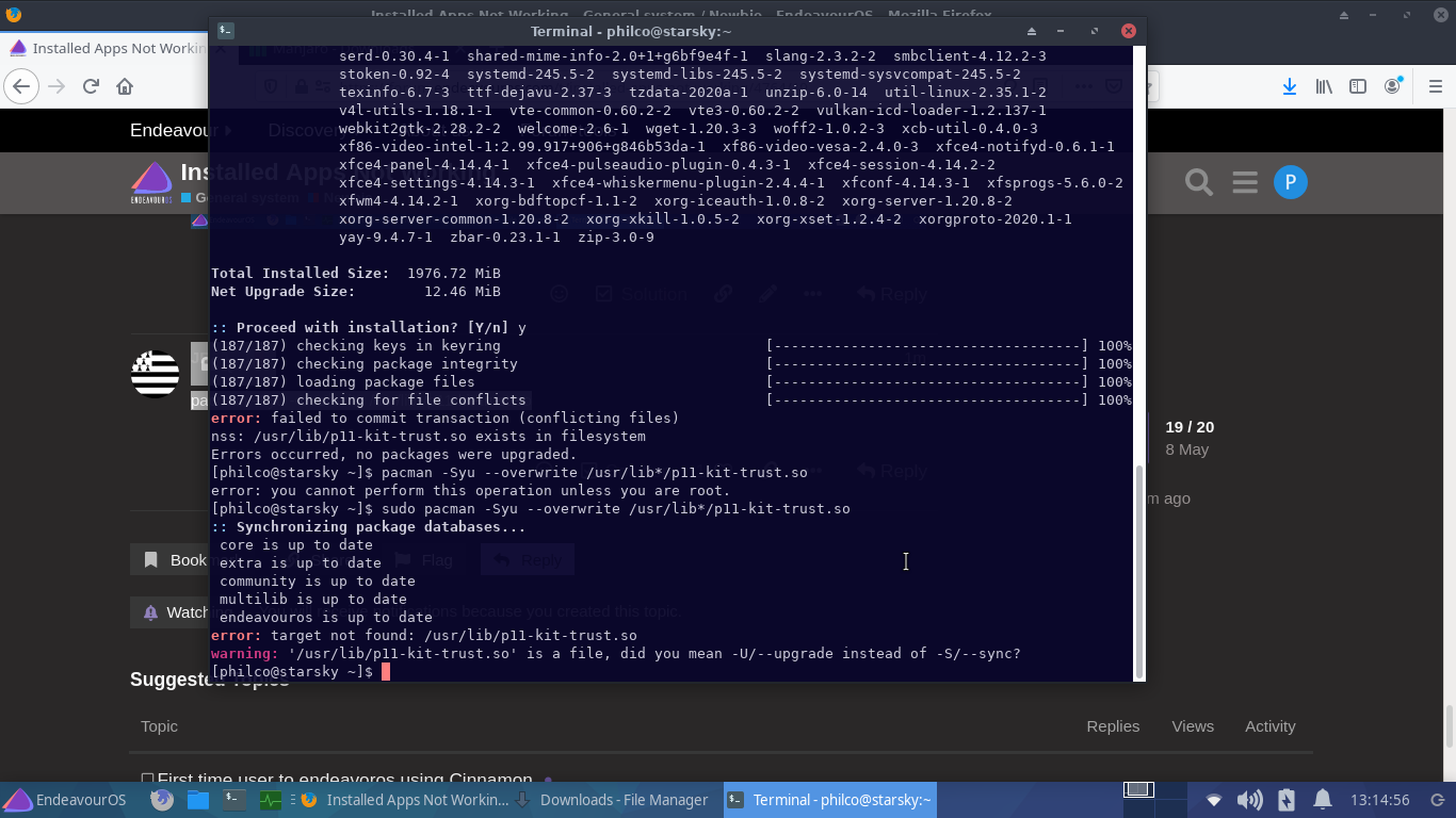 Installed Apps Not Working - Page 2 - Newbie - EndeavourOS