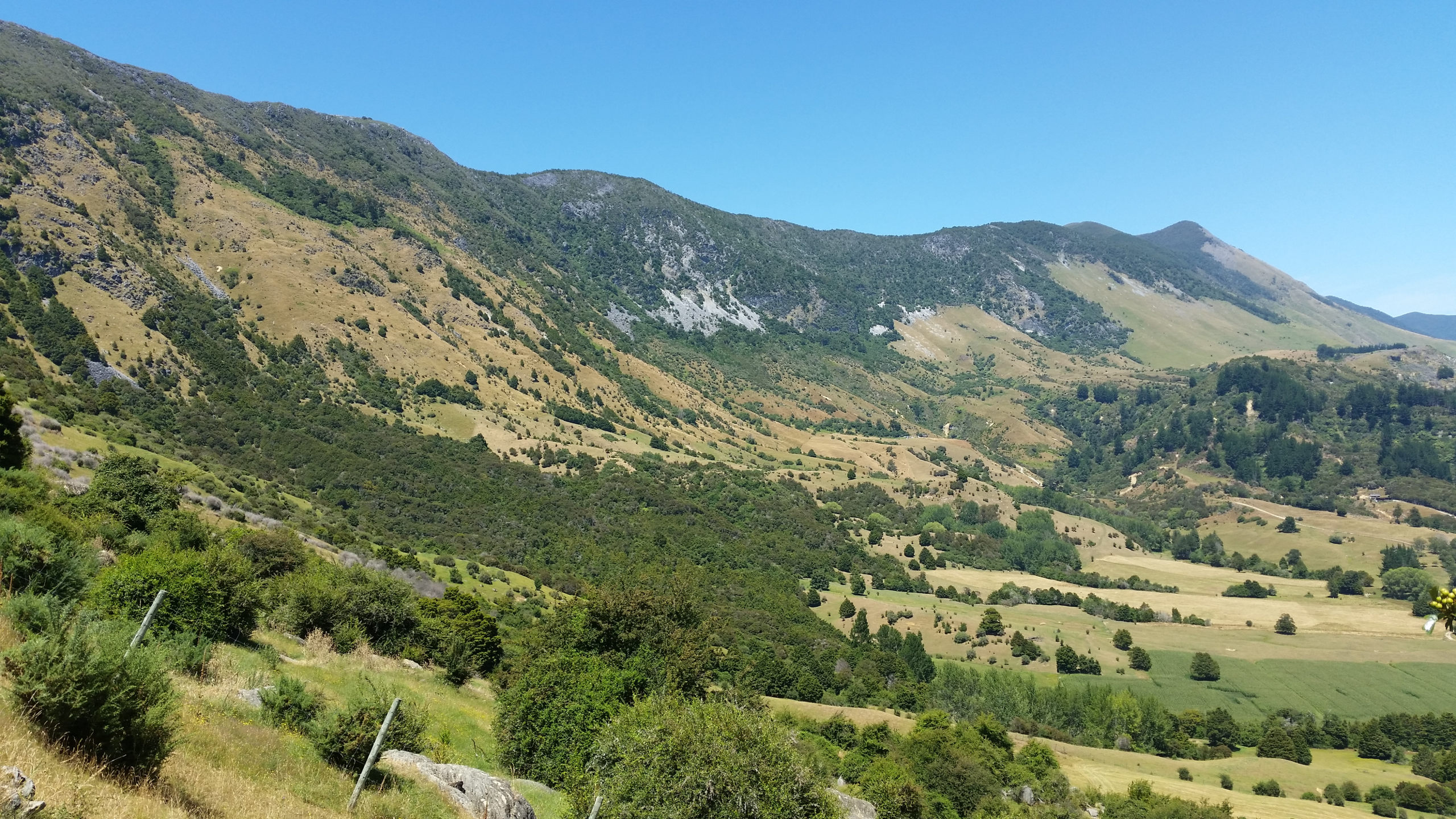 169802-Takaka Hill