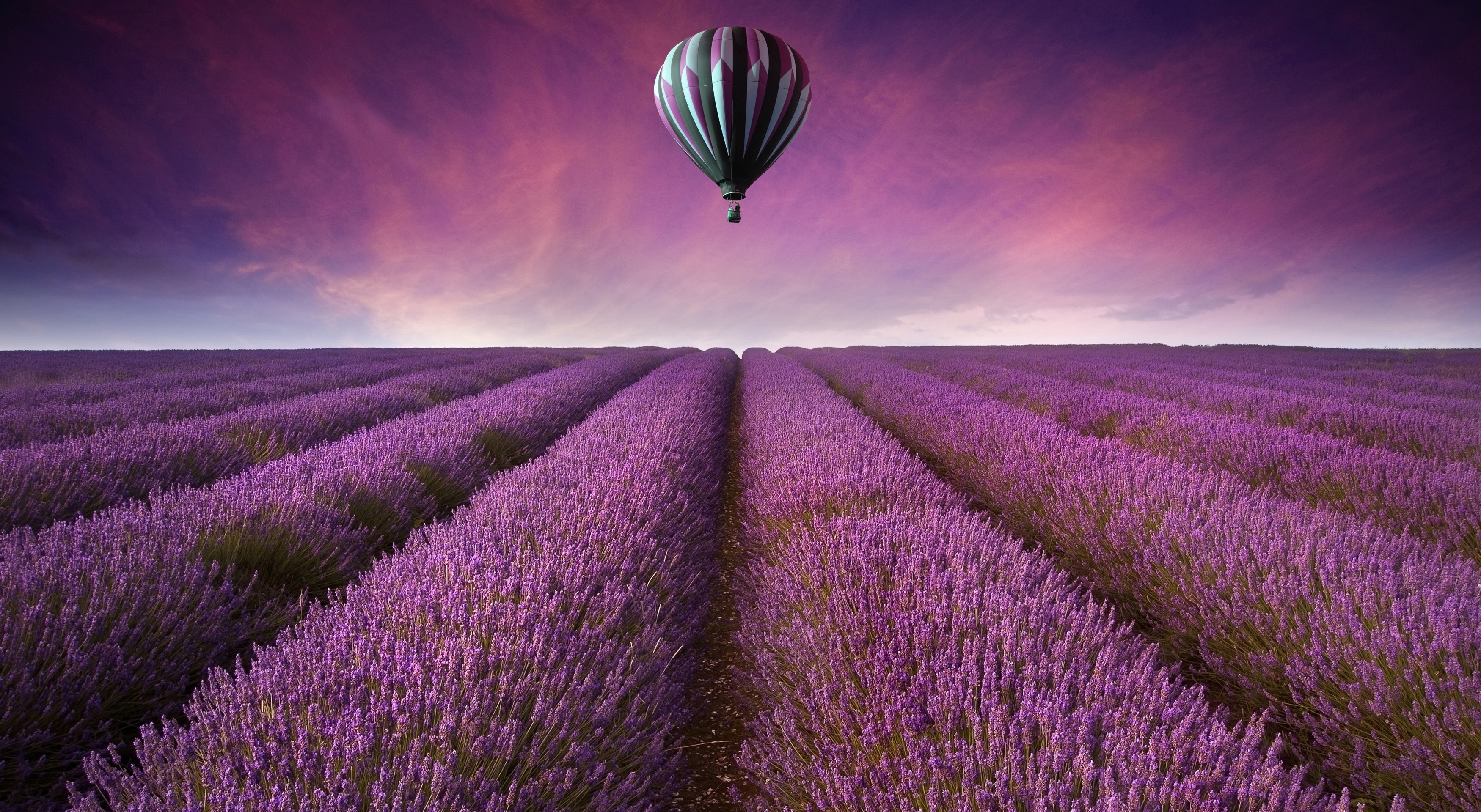 3500x1920-px-air-balloon-field-fields-flowers-1745395-wallhere.com