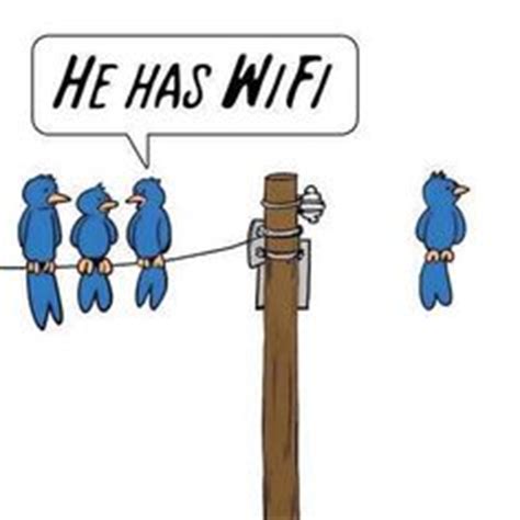 birds-wifi