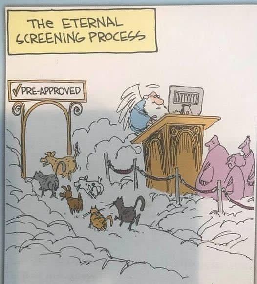 Animals preapproved for heaven