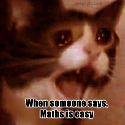 maths-is-easy-crying-cat-meme