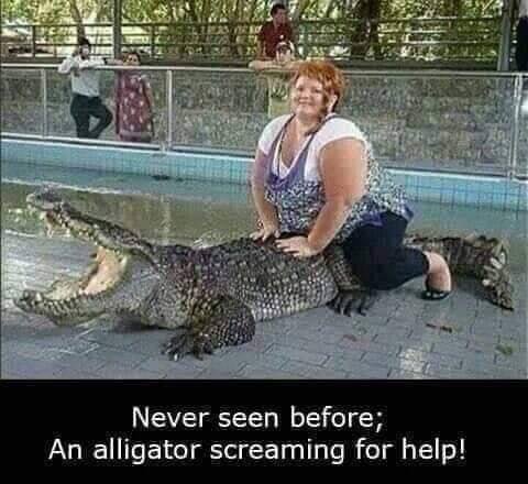 alligatorscream