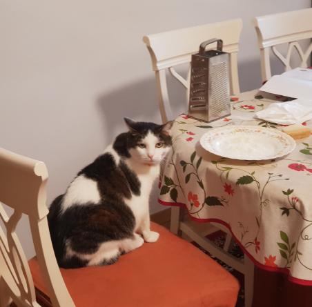 somebody_ate_the_grated_parmesan