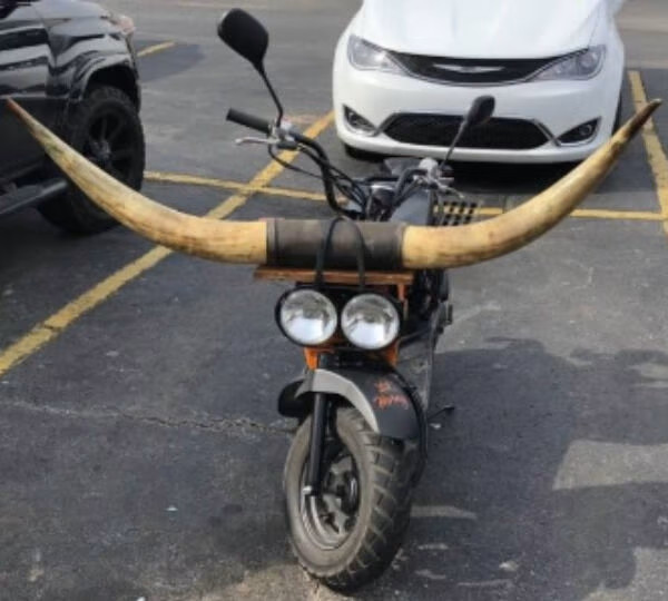 onlyintexas