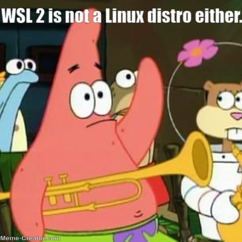 WSL Meme 2