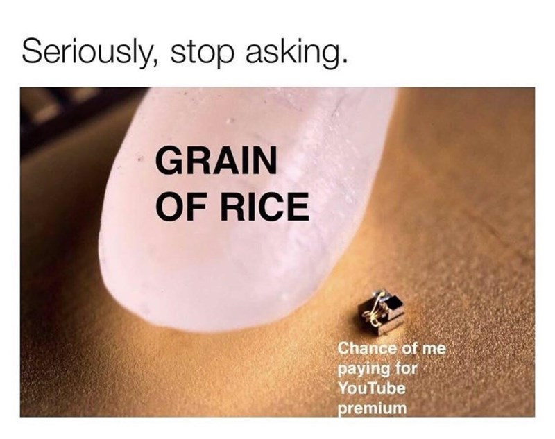 earrings-seriously-stop-asking-grain-rice-chance-paying-youtube-premium
