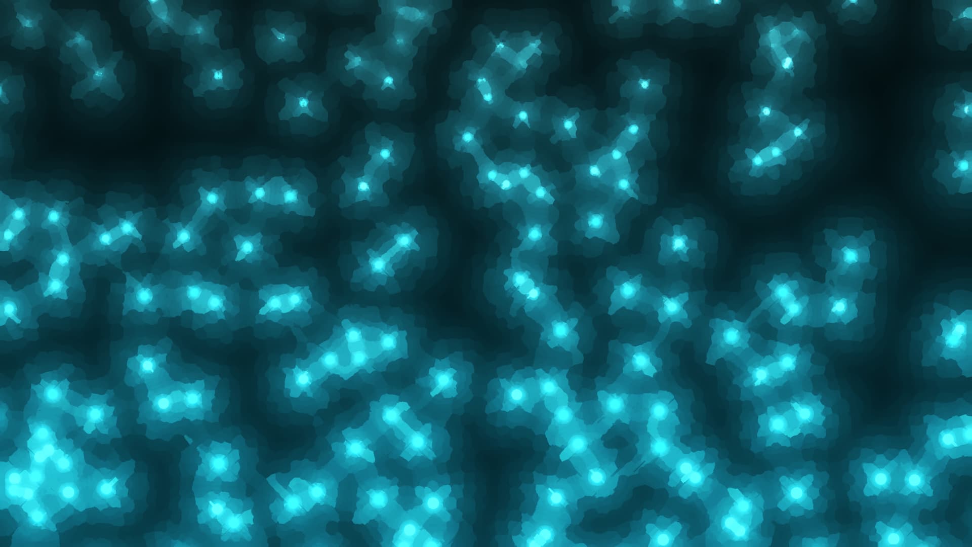 fireflies