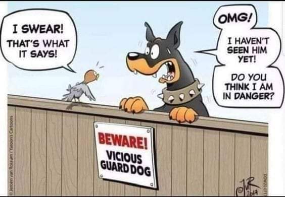 FB_IMG_1694305158766