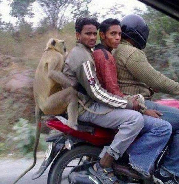 ride