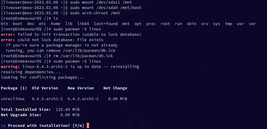 premature end of file vmlinuz linux