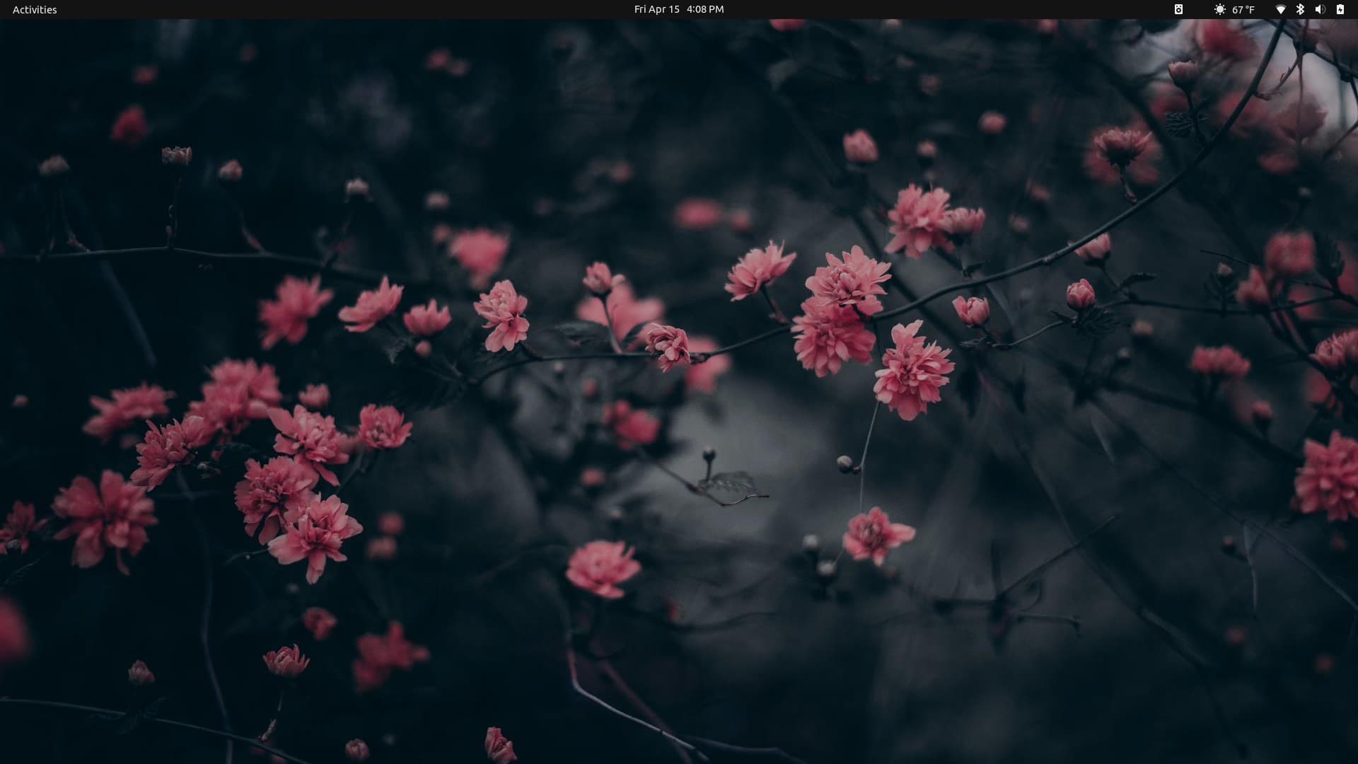 Screenshot from 2022-04-15 16-08-15