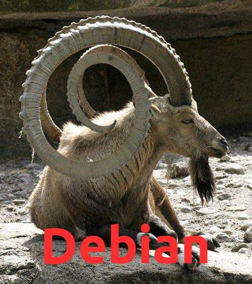 debian