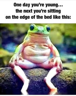 frogedgeofbed