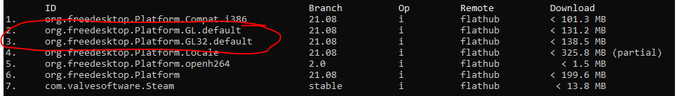 Steam  Flathub