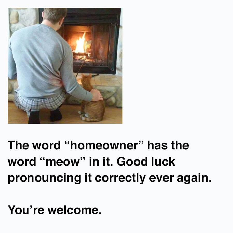 homeowner