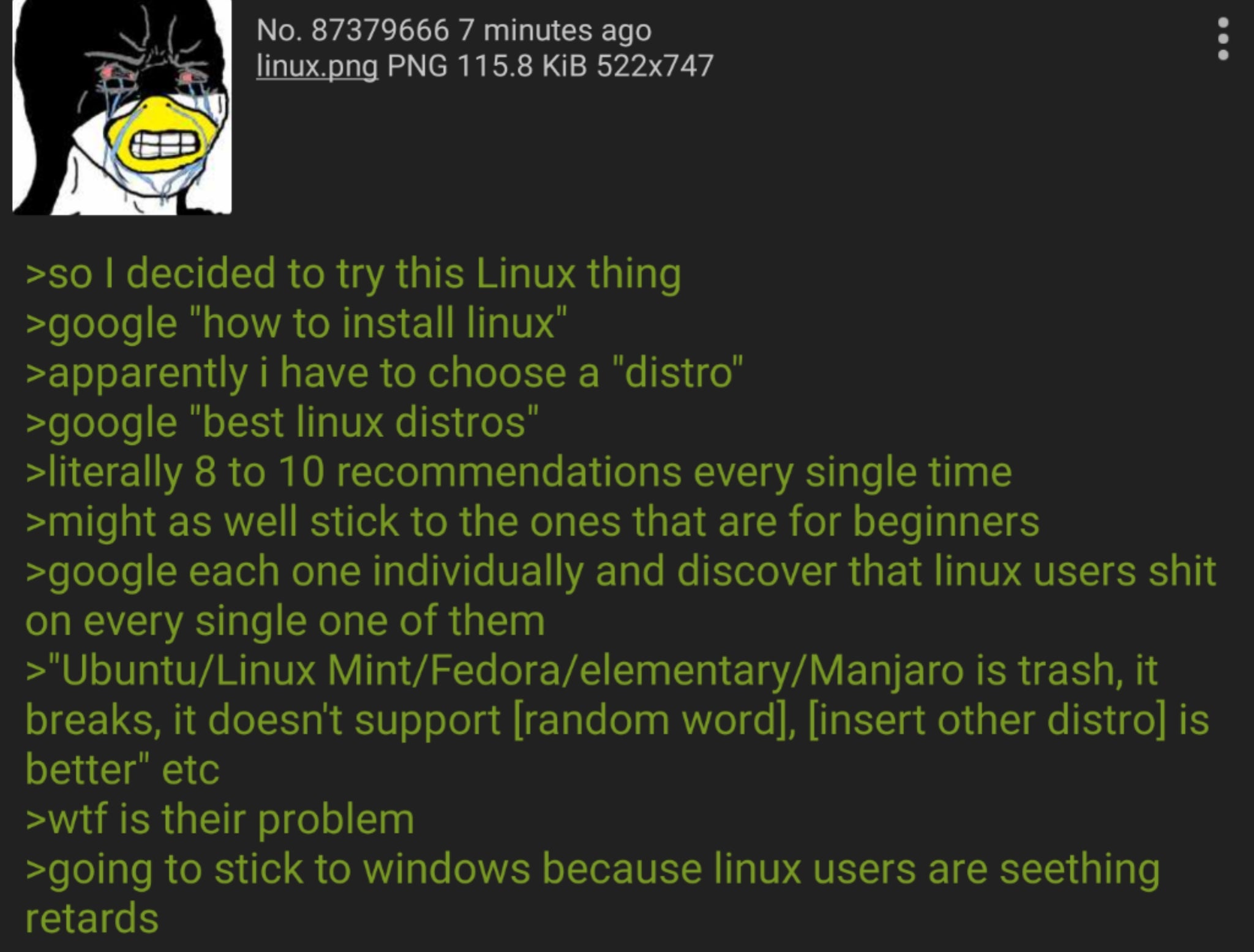 Anon tires to download Linux