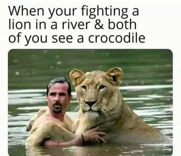 croc