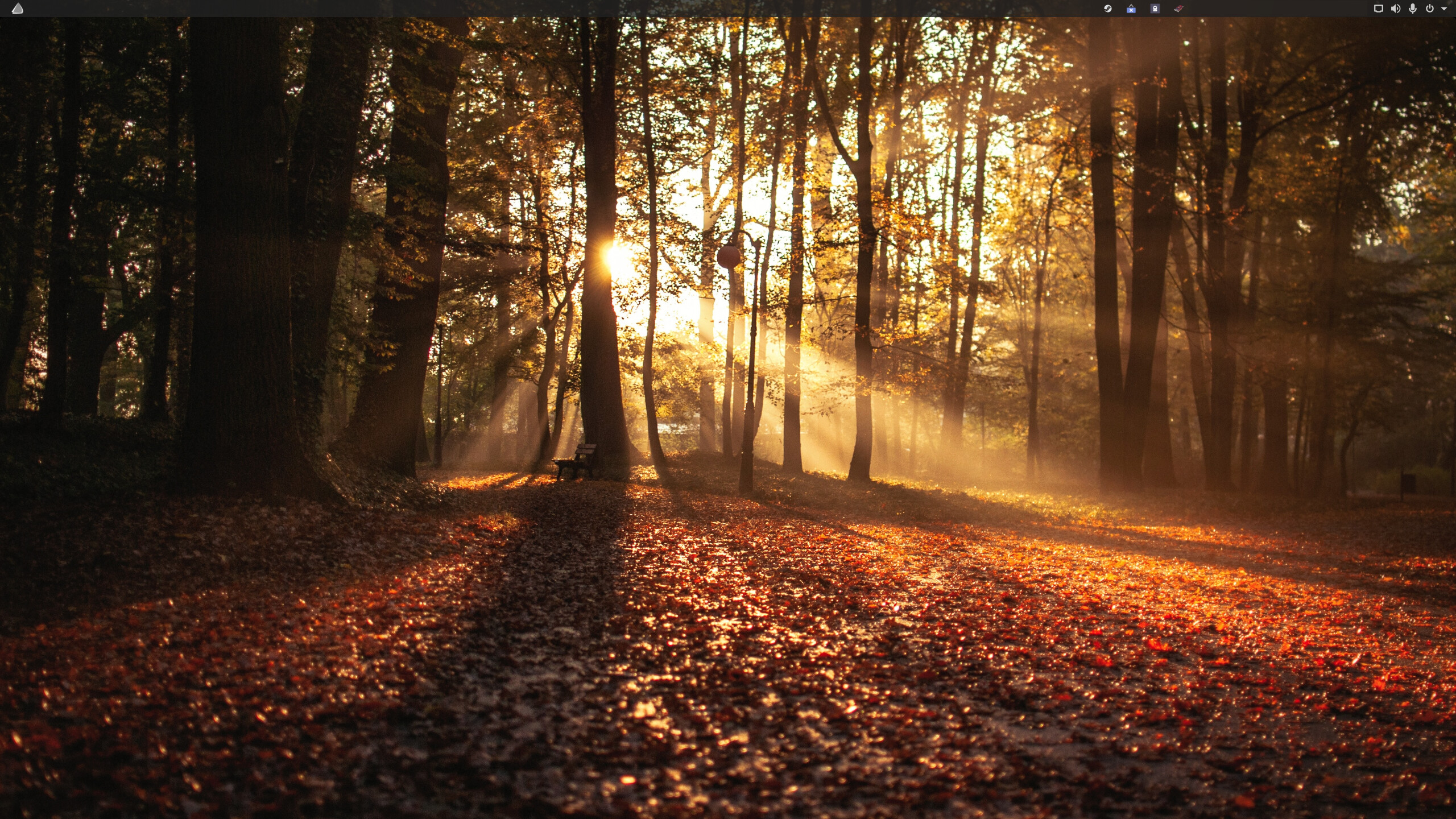Screenshot from 2020-11-11 02-07-01