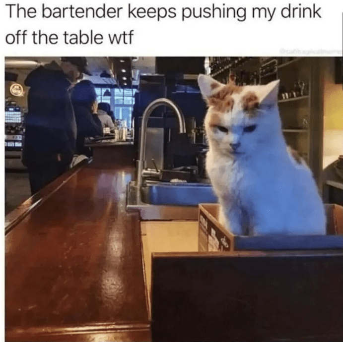 person-bartender-keeps-pushing-my-drink-off-table-wtf