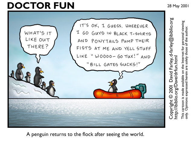 pinguin_returns