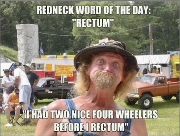 rectum