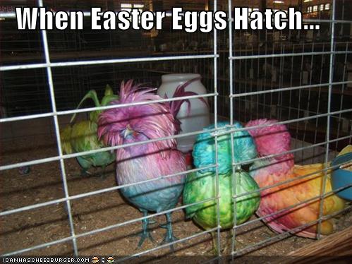 eastereggshatch