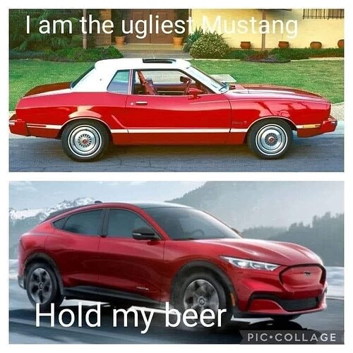 ugliestmustang