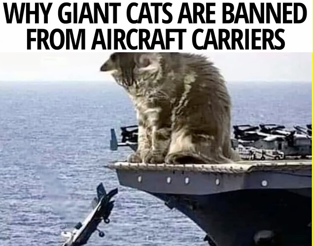 giantcats