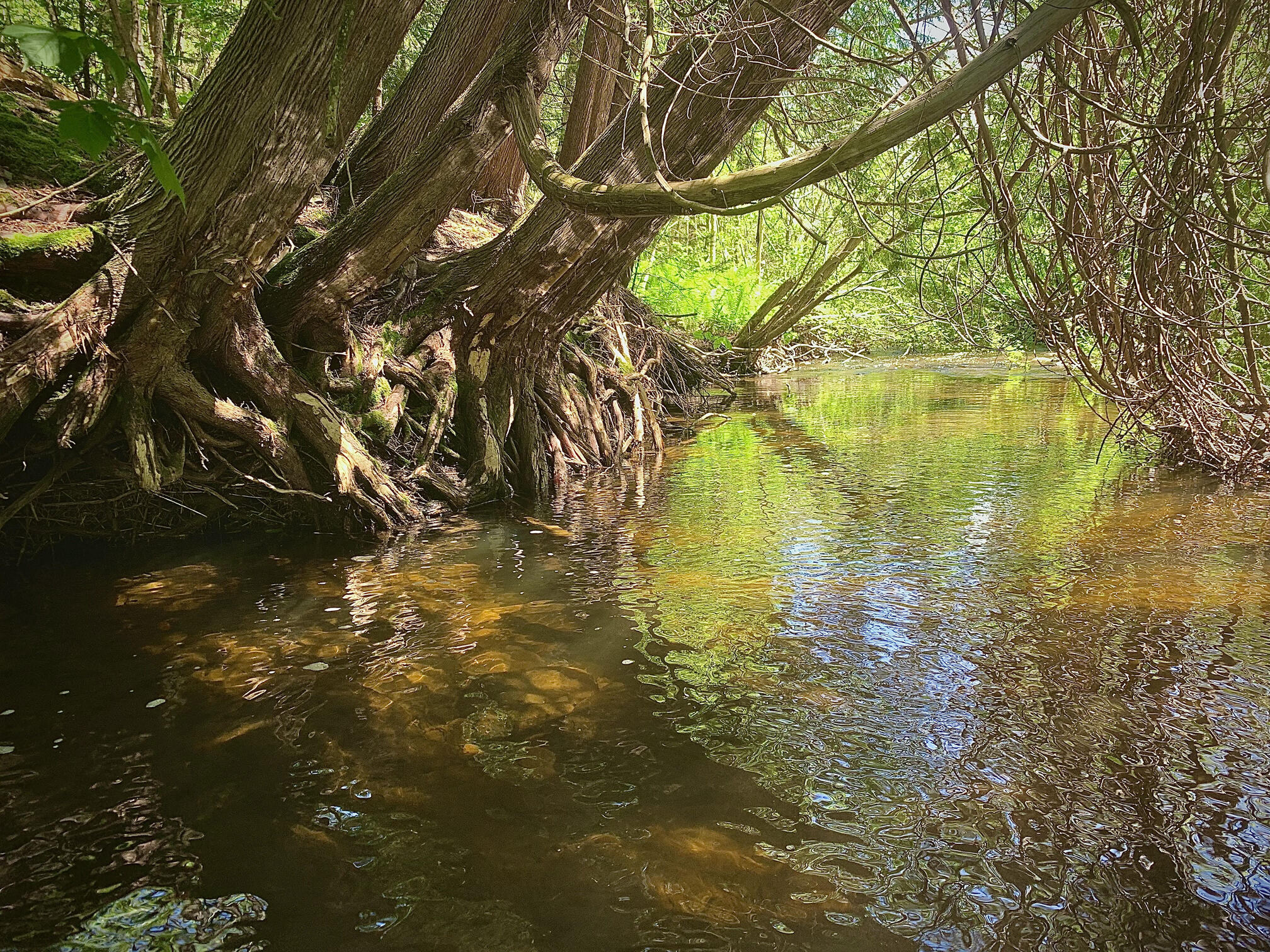 stream