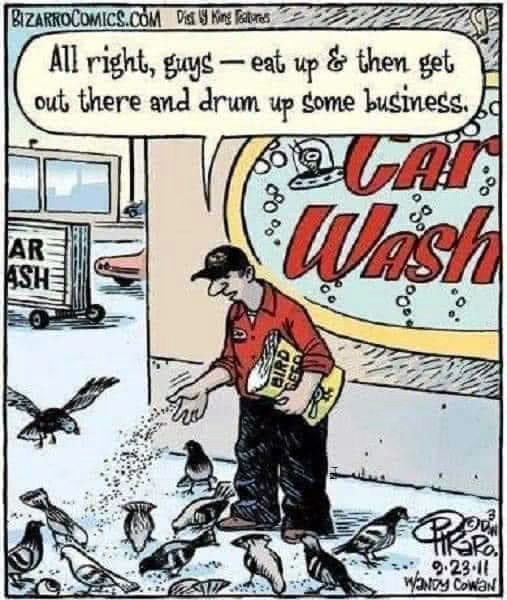 carwashbusiness