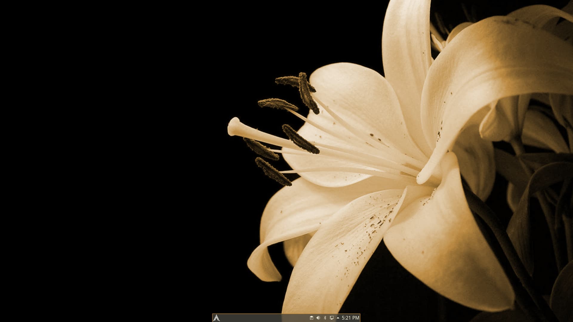 Screenshot_20211128_172108