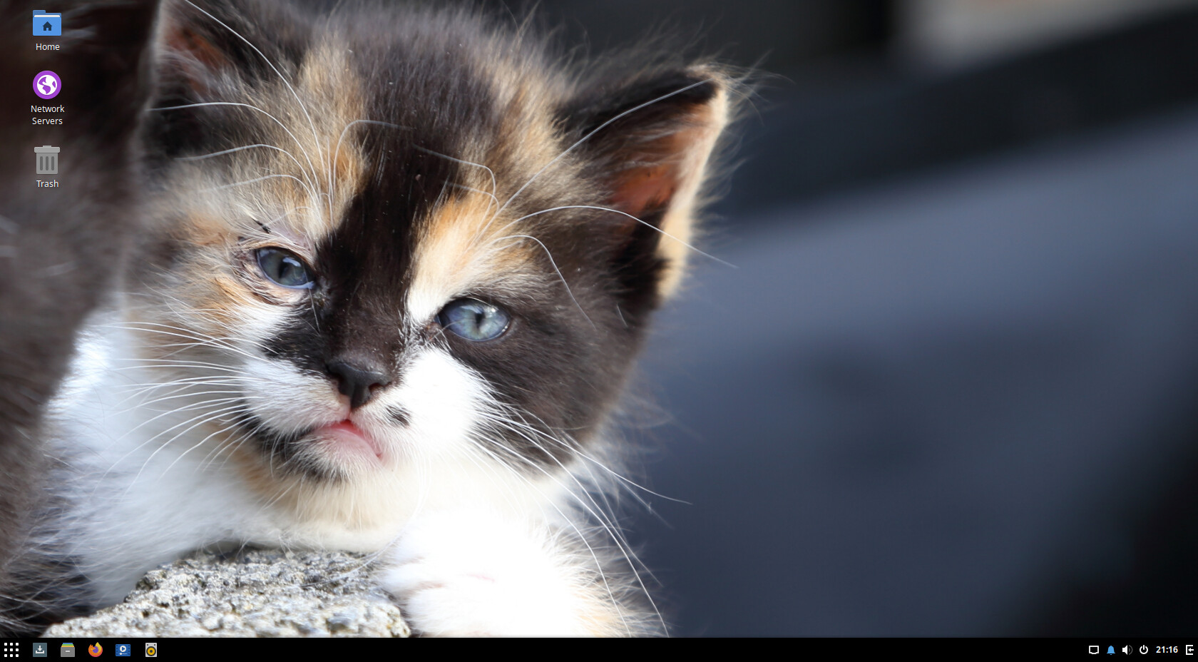 Screenshot from 2020-11-22 21-16-22