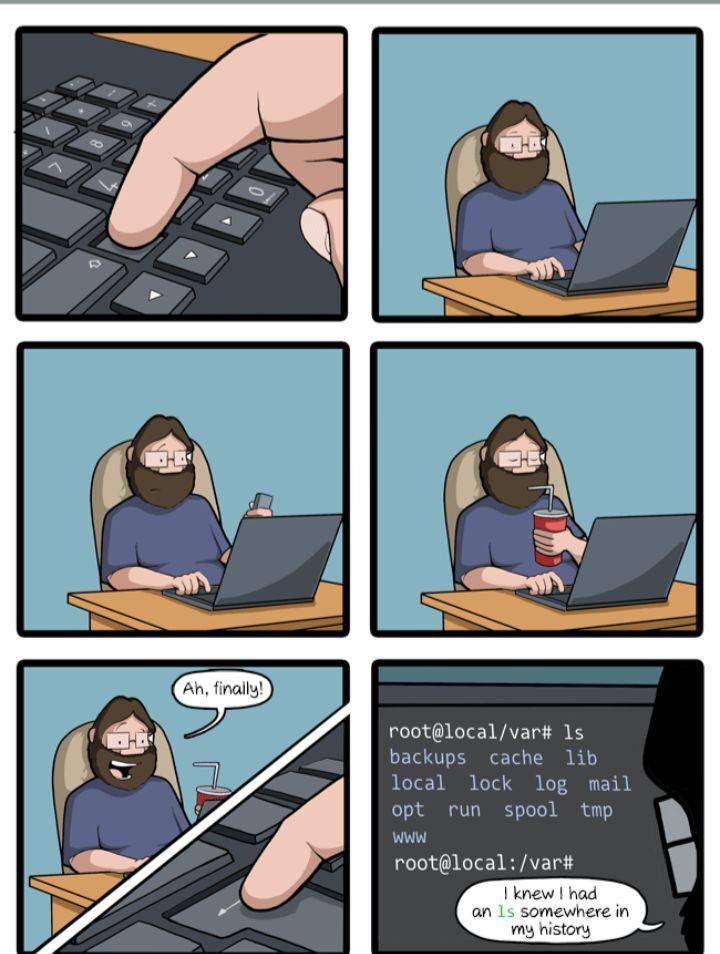 Share Your Linux Memes - #1829 by thefrog - Lounge - EndeavourOS