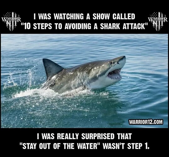 sharkattack