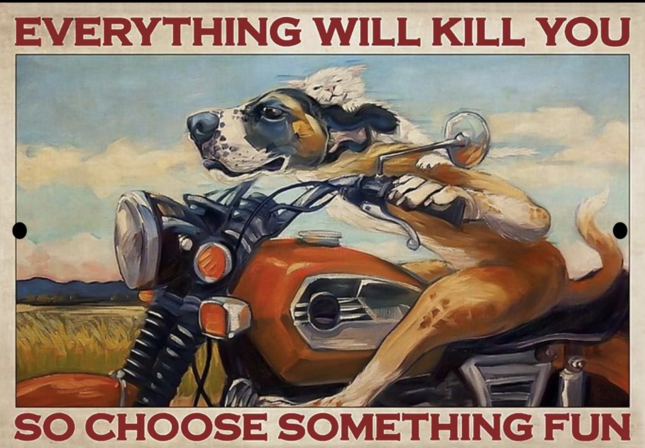 everythingkillsyou