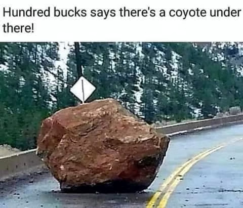 coyoterock