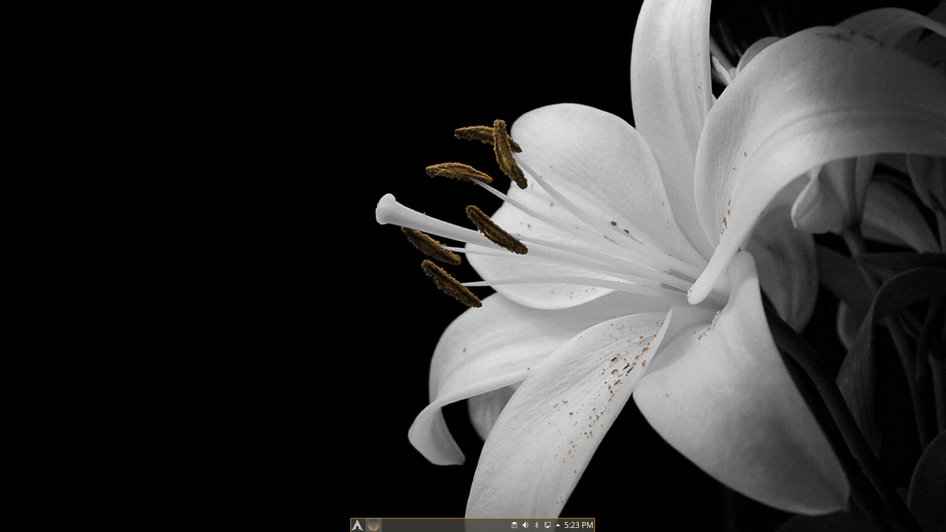 Screenshot_20211129_172318