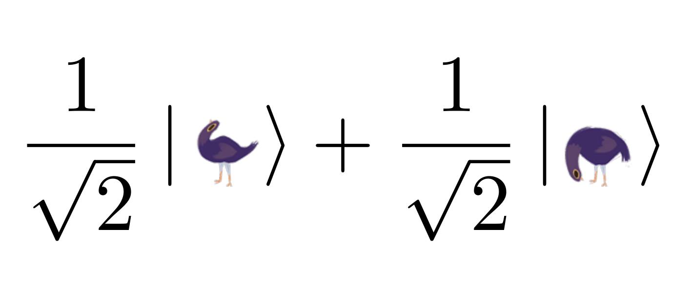 trash dove superposition