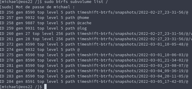 btrfs-list-capture d’écran du 2022-03-06 17-21-26