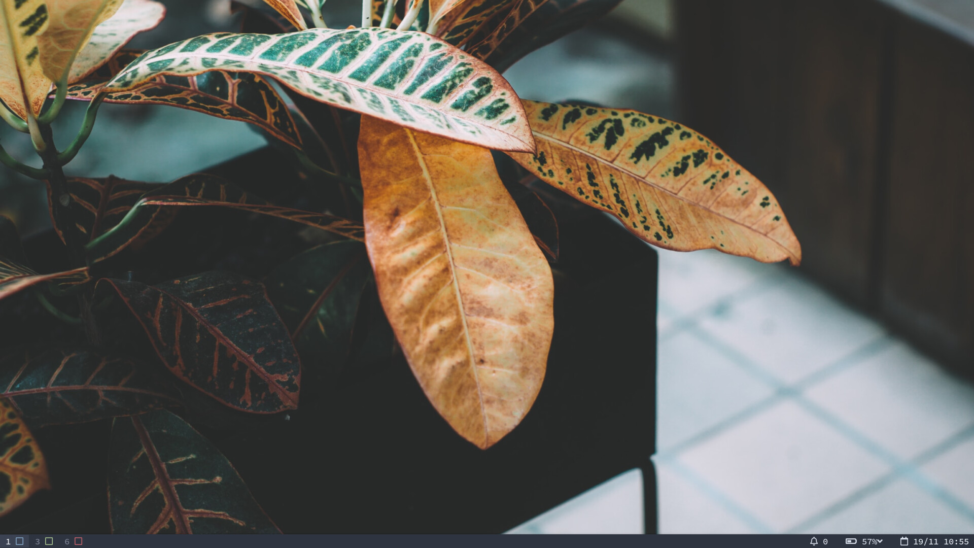 Screenshot from 2020-11-19 10-55-45