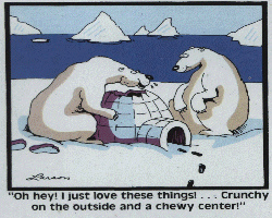 polarbear