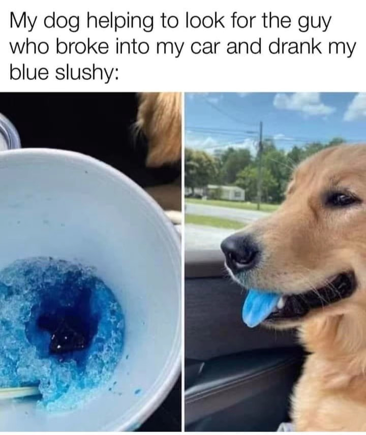 dogblueslushy