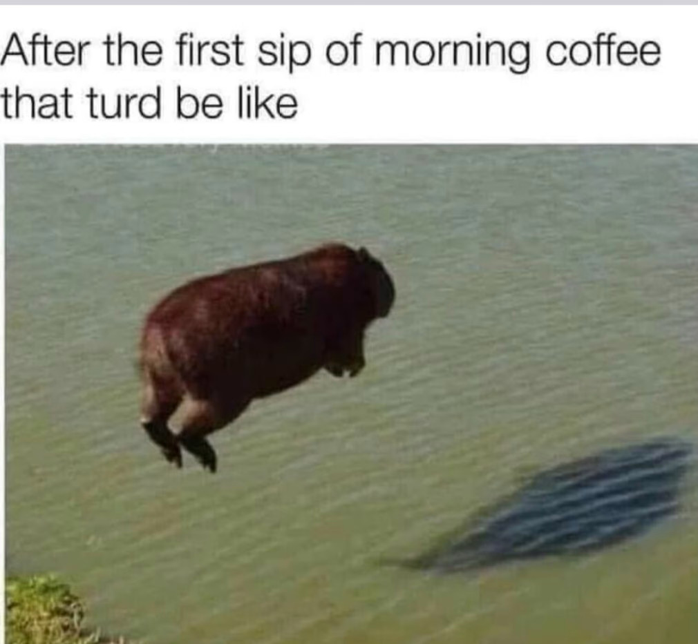 coffeeturd