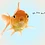 goldfish