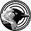 jackdaw