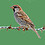 linuxvogel linuxvogel